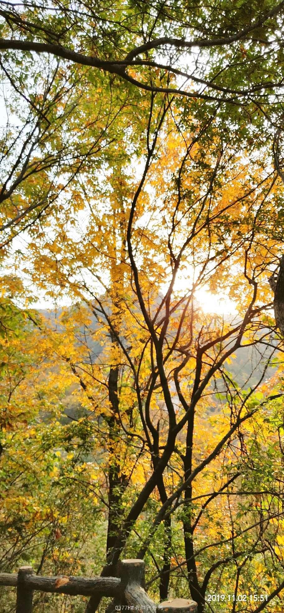 nkqtS44cbH0IlwxdbPpkfF10TGfkB_vhB96GoPalOpt33CBQbsHb_gbYHHp4eCYt