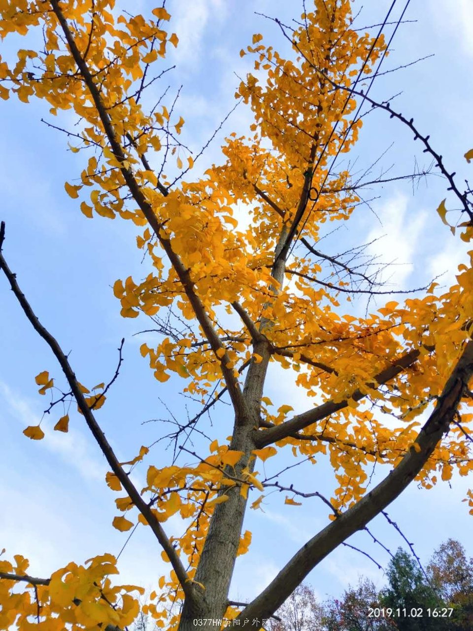 rUaCXqWo92vFcqstjRUV-9LhoGM2D-k8X3N-zuwyQSwG3JxM1bLBKwQDMORq01Z9