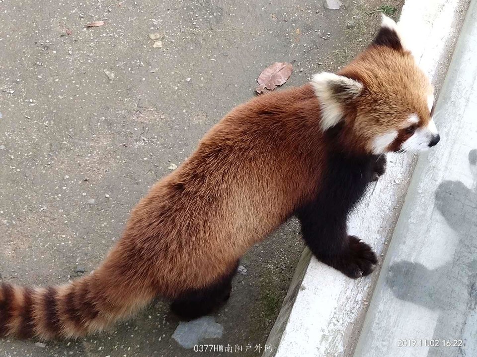 zUE1q_ykTz4s22EHBmYAe_4A2D_lM9258ETlML-kDDfIwNEcToG6iM5iKXGTII1b