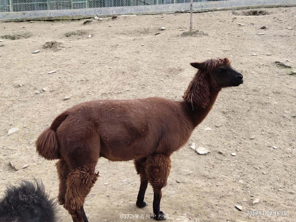 mqrVdhEwA64S_a6ruUhMjfr0QT9ubl5_ZRAscGyR3aR59TBAdpciBKitEO0xr29z