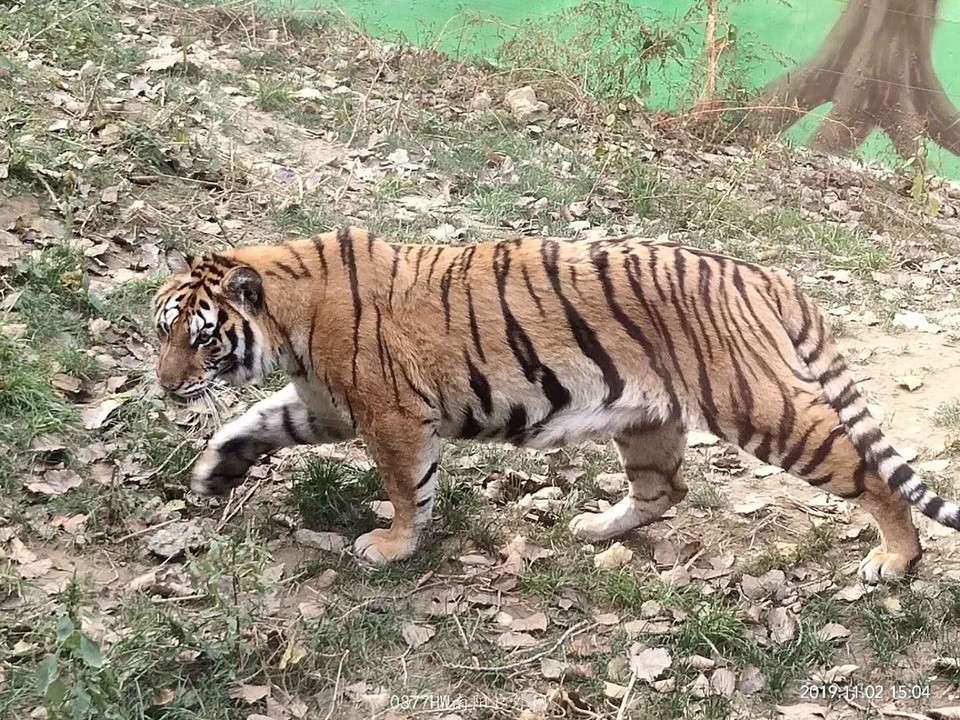 0aZv18EngbKMD5tKJupJZxXkdN9DkwJPqcpDWrv2JNZEjiaENjH3UoyjMnZlUv75