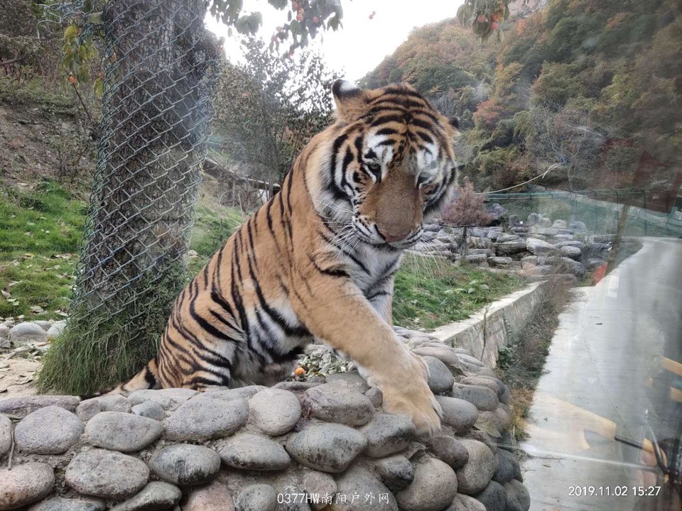 sk8bY74x1kxARu1aow9uIh2vU6CivL1Vmkje6nOm7tyQS6gkTbx1e79_hrkruvn1