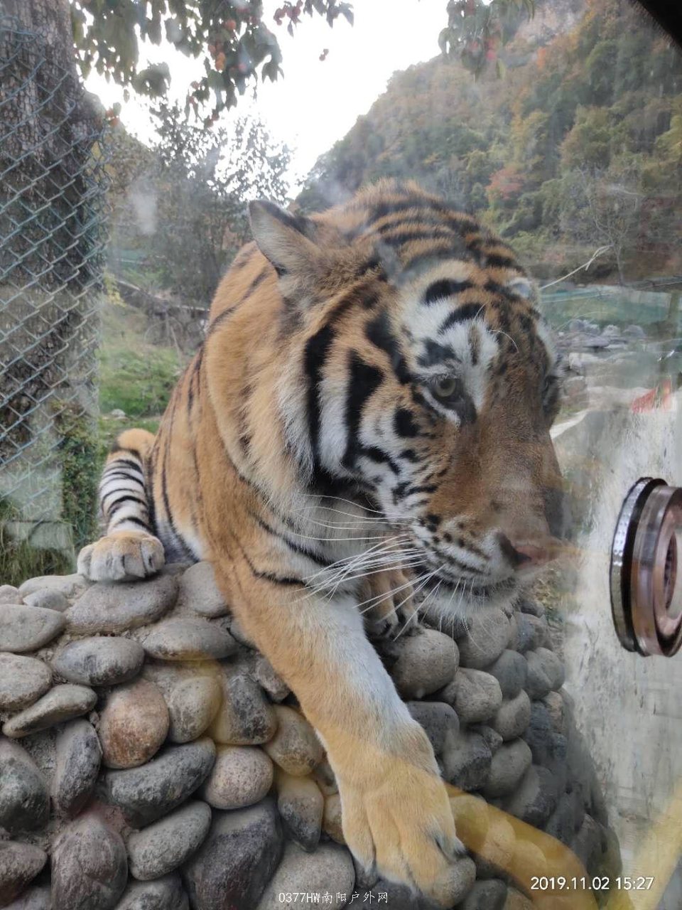 lpQkn3ktmt731gsJvn055B9xd6UDu_8F01I5c1J7VKBX-mayrwhPzMUtUqgoYPlx