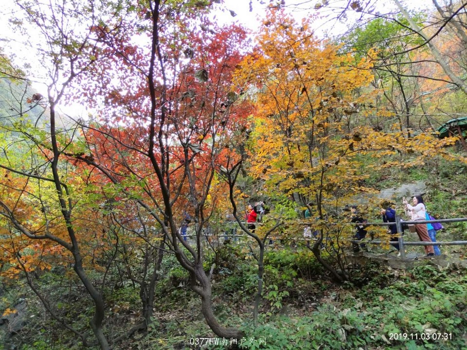 yzcqTGMTVH9ciUDvAQvAEte_zRB_rXCr_j8FqQ33Xa-Vo_R30aINjj8ajiaP88eW