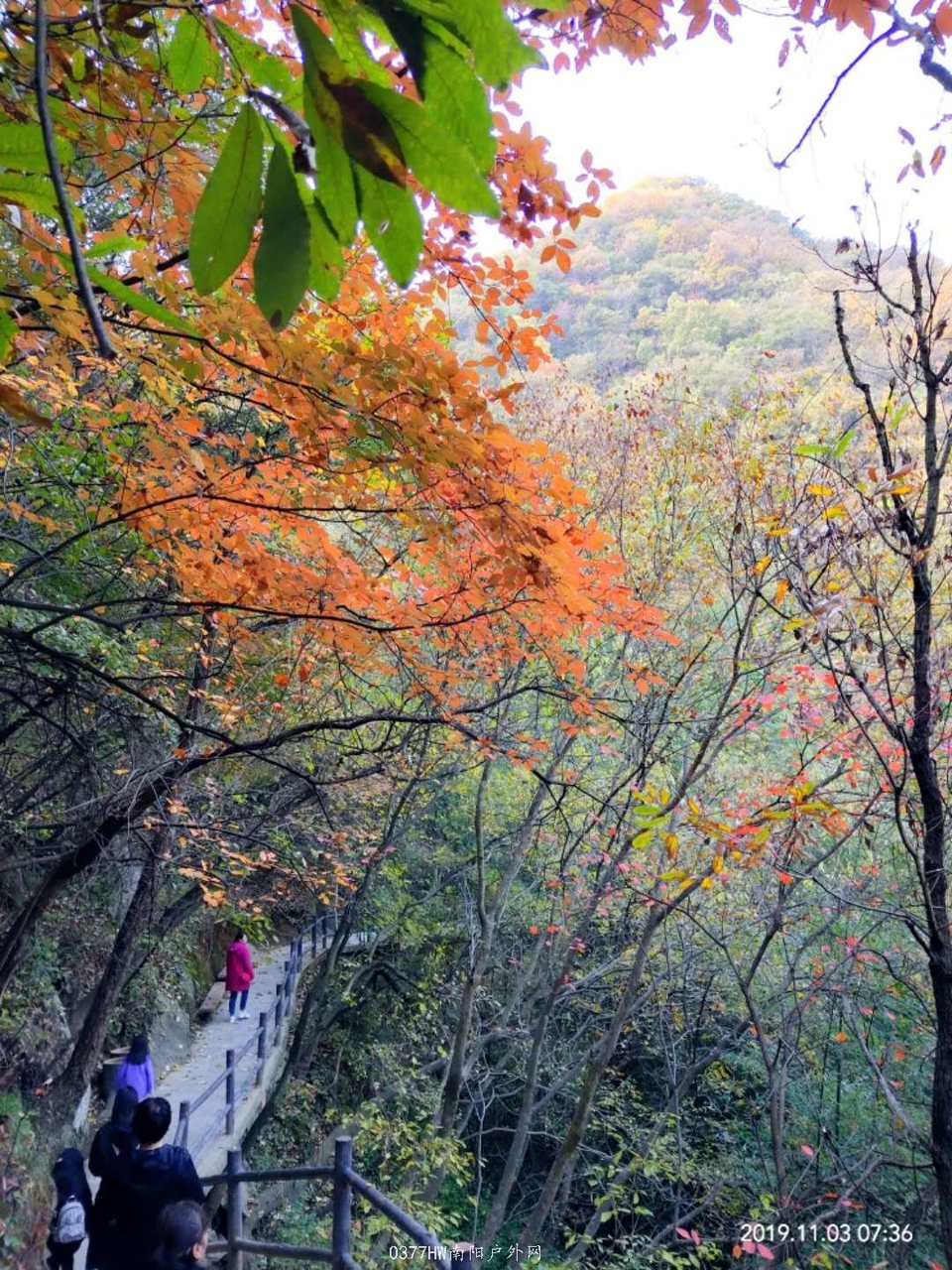 0KipwyCxDA1PDnWB6grechGs5ZnOyQ67QN6HwRmwgsEbM01VoH53z9A8WfcyMxgN