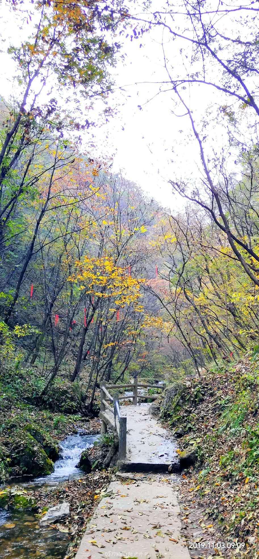 g4eVb-4mtxcaOdHzD-lGIFnUBGGtGq5EU6D4jsjZcDx4yQ7kC5ybKab2flA-zbJX