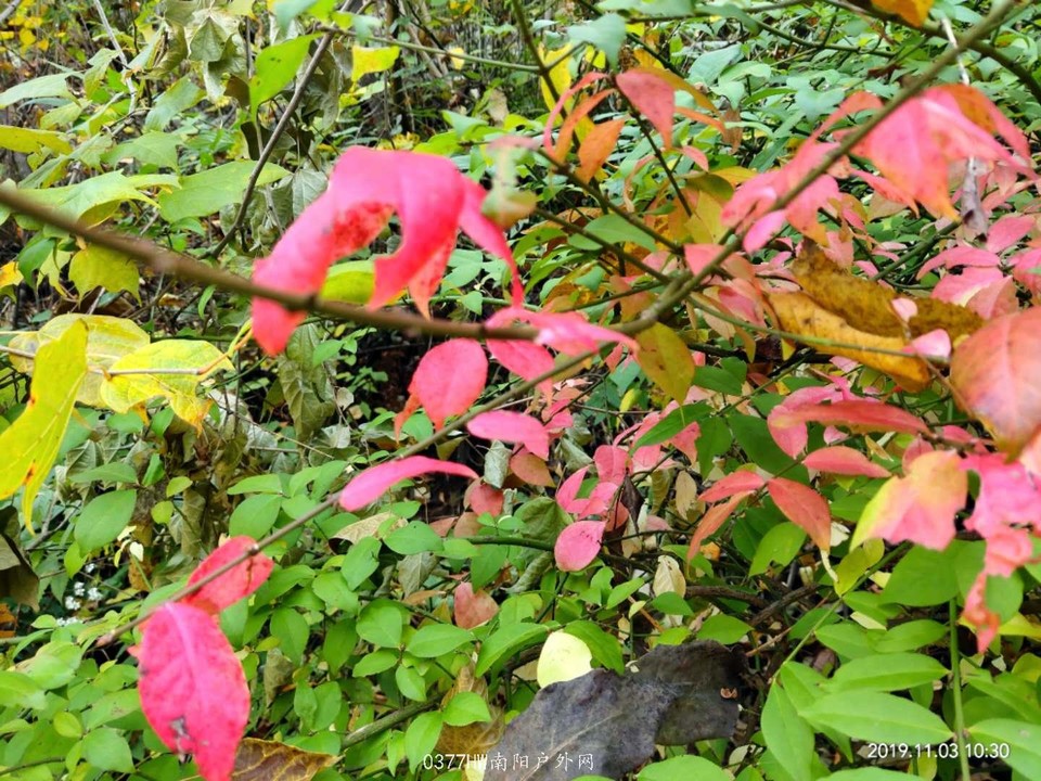 IaRZAzYtnlrMW05Af8jGnTyzcUhNYOfFpFBtjzd0LJOVUEQ2VikU-kpF7weYG1jj