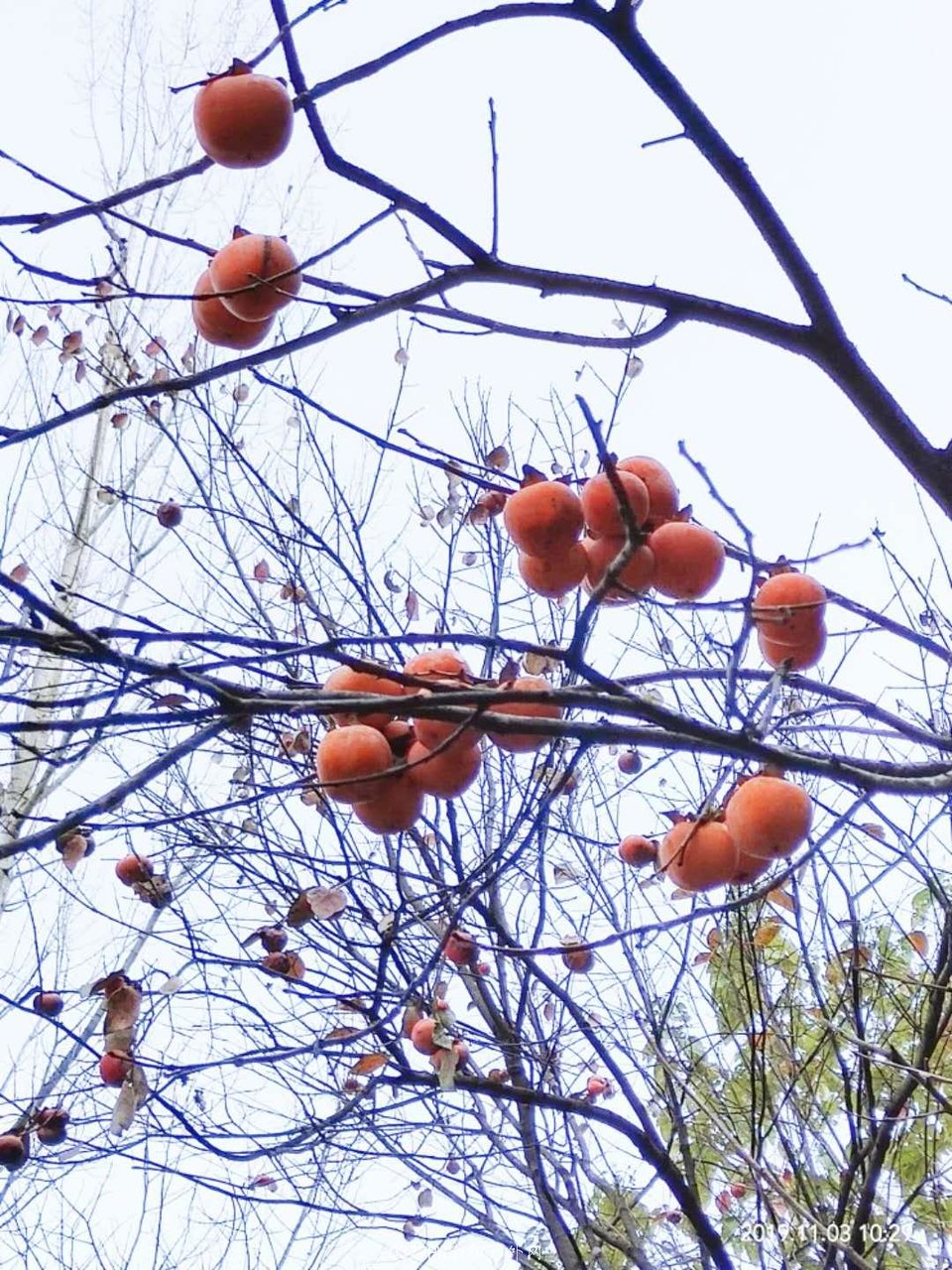 tjWibmCOoadhlj_vZ6nPnu3FinaU8X17omg3DdptlR4qzzbDtI7eLO7eMcUaDUIA