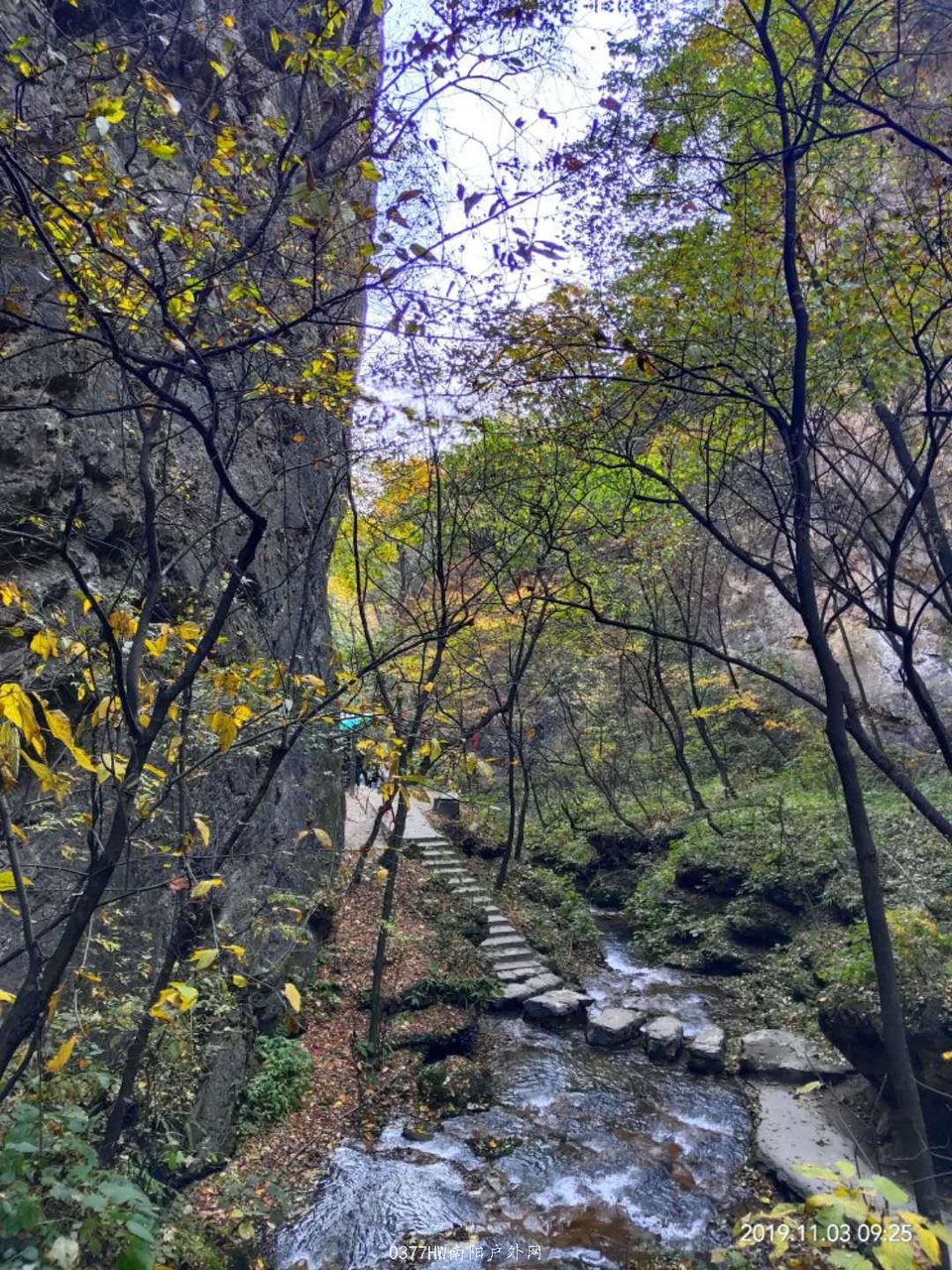 IfIiX2DqnRrIwLhYVl4Lj5b2sGV-cYa1NlTp7HXH4DuofjJWAQaTSxzRtEsReEnR