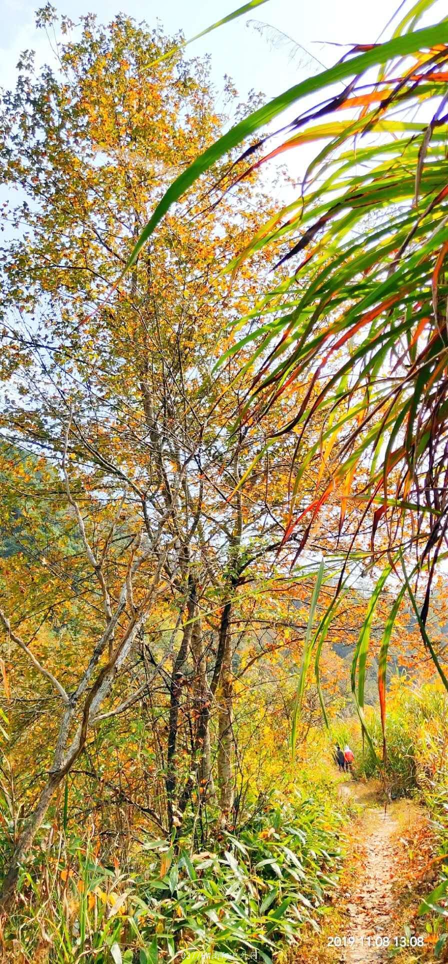 lLY_mayyqyBl-CS2wZXW9zz37Dbgd3nKLBkCPgAp8ygmUZJbm7zja2SQ7VZFo4Z-