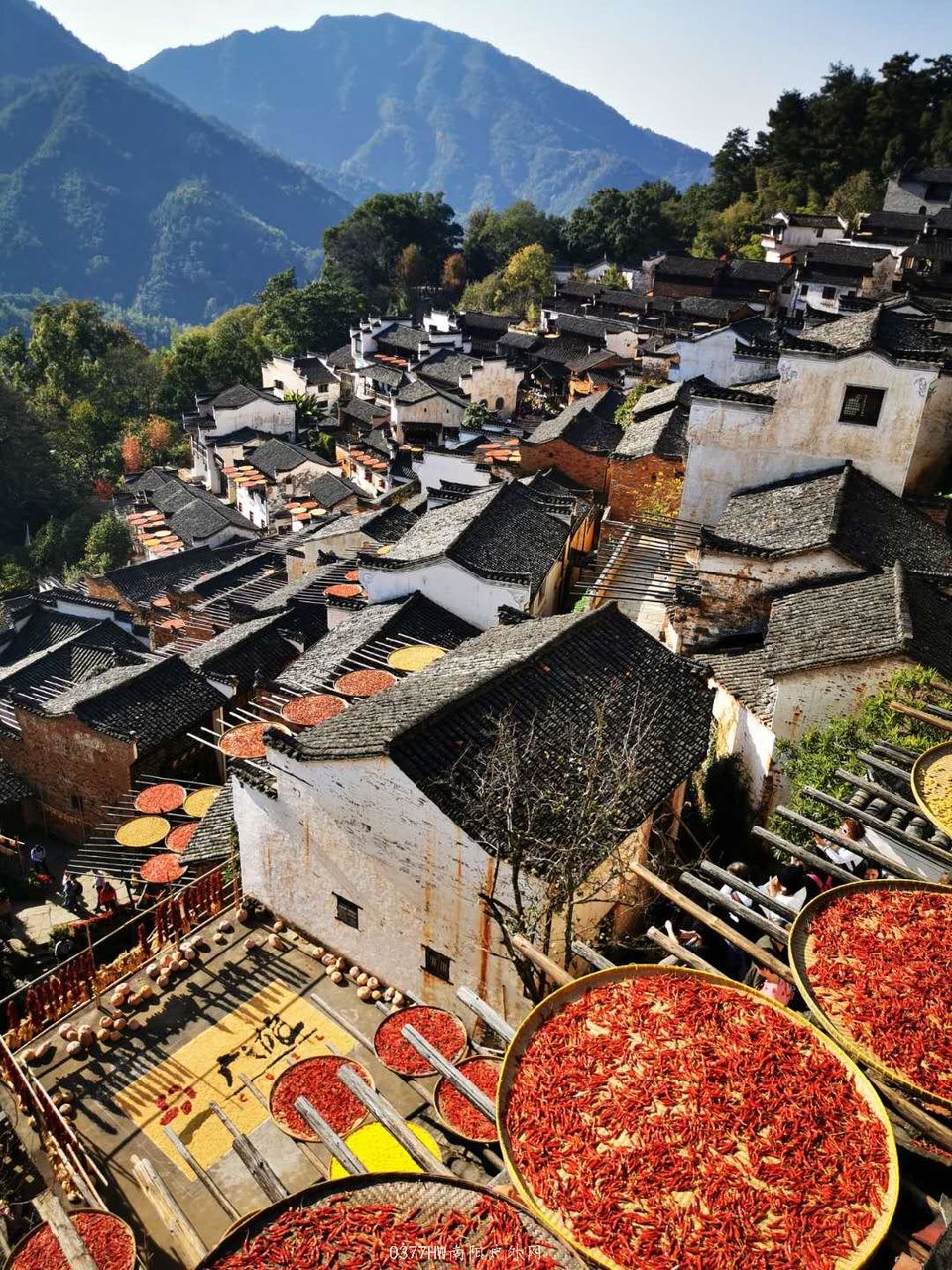 1btXtnNAlO0HcvH6WplBbgSKvDaFlBOKO1kBgwxqSMrf-u1o1ozXdjnKIqa8s4Or