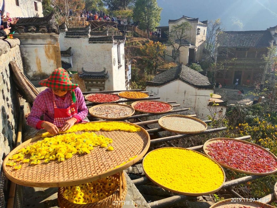 f_kKY2WDU1VAf2YZuj2ASinE4c_k59Y1umgMtqRUqewx2sfQrSeLmyVVfgFW2cH3