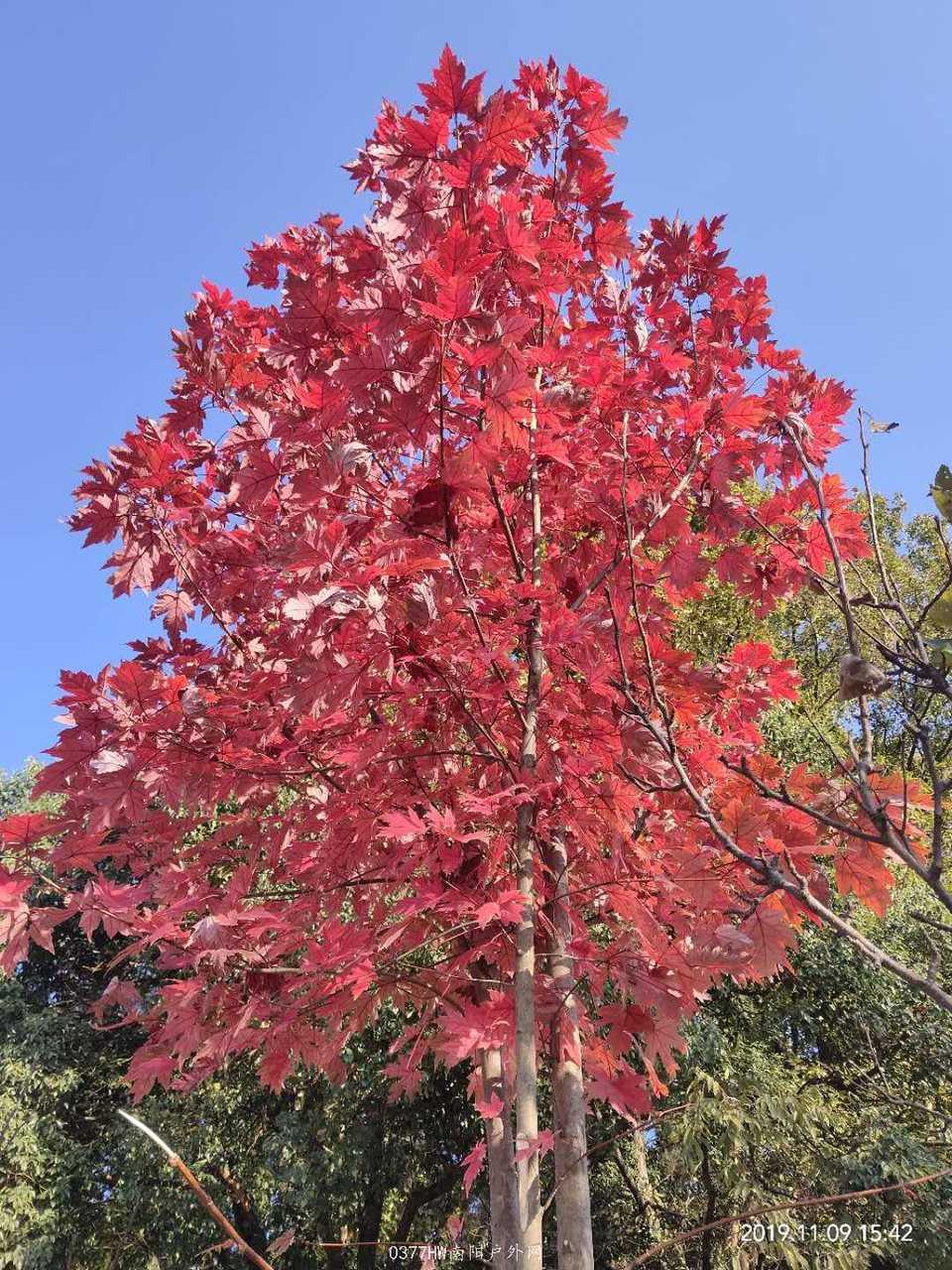 V2fK34e7yhemELeHCR1h0Zx1B7XcDLXgZiS_Qe_MokcvNOjyhhGnYJAc9jwaz0yK