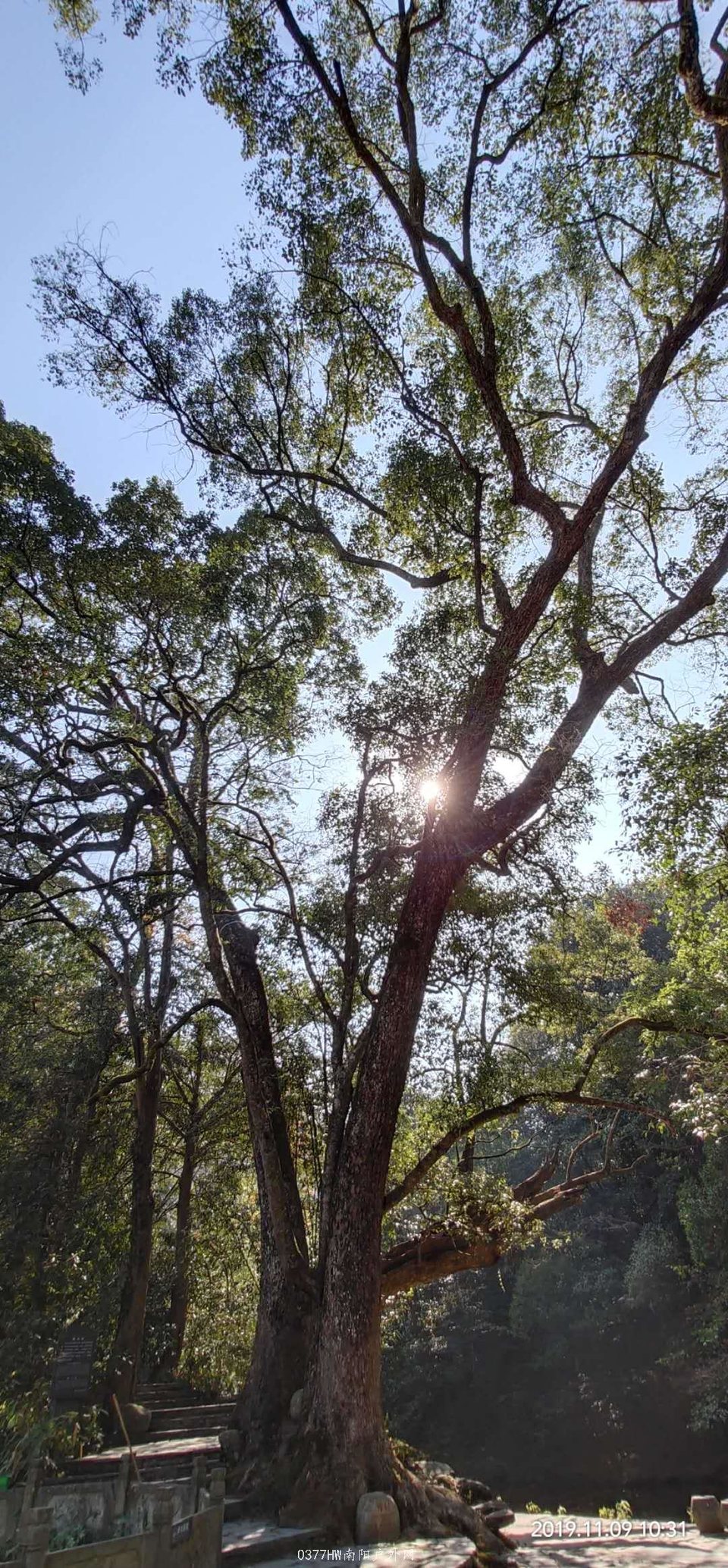 lPrn5jWVxz58w8-Lc9pq6xvJA_HOp5u0w0xZ7FOeXGBnL4TK4d8BXrVKFo4Itz65