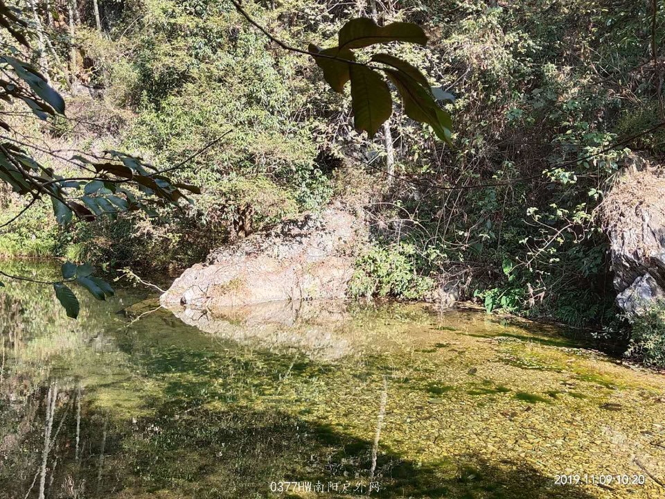 IleHwH80cuwSYa9eS7Q5FLbF5Zi-JEhq-N2GPM_ybdRlFfuK5-jM_G1OpXyP3j-j