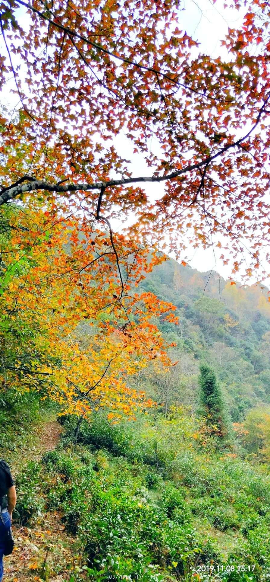 JpTciBFrgX9t1vUgAA5ZyqqGxgv7ilbv9cN2hetpt9tYQUN_ihHdDZCmlrhbtRWL