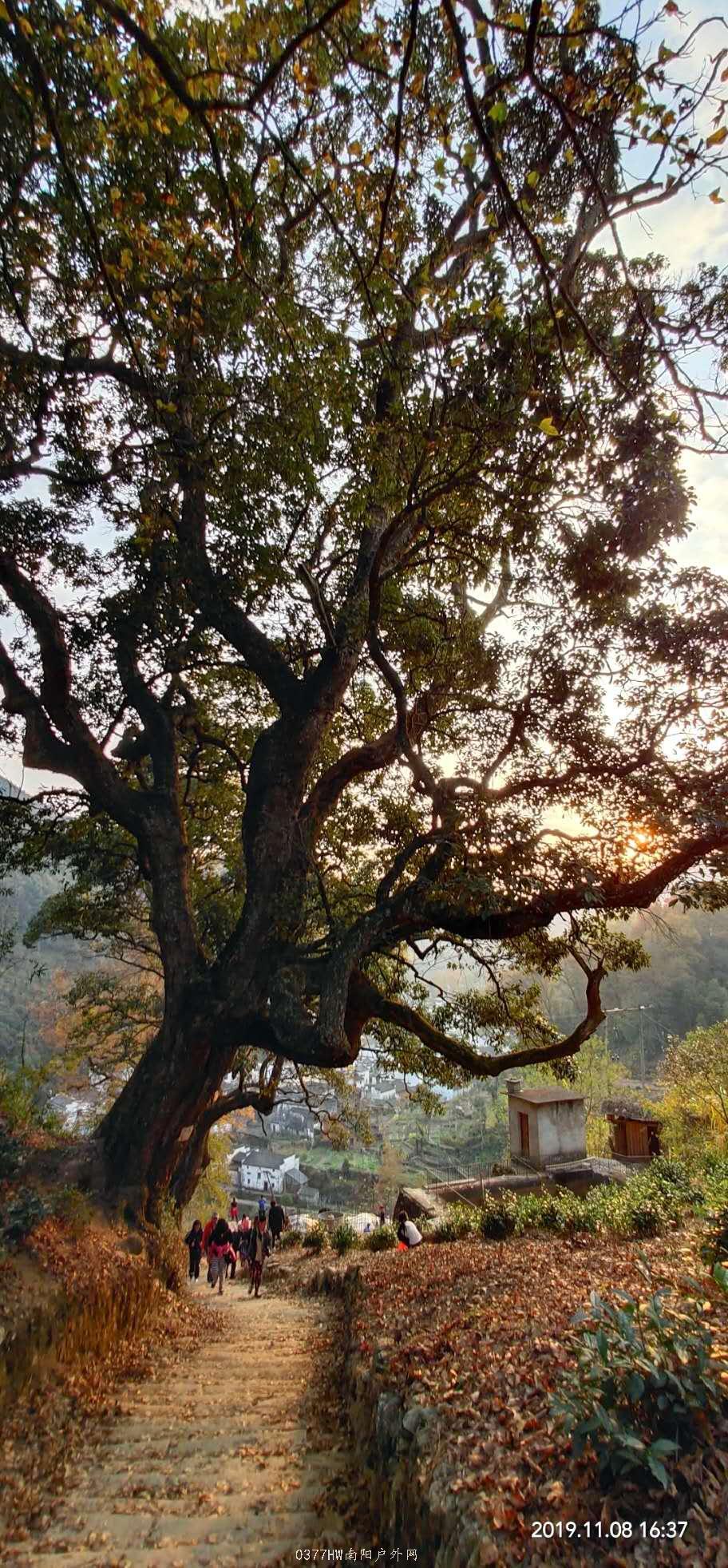 aj5JMrCWJ1qIkt0F1iIqbpM1HIiVN6HJaFqtgPbneH0b8DC602Jnf4oAD5f8FplL