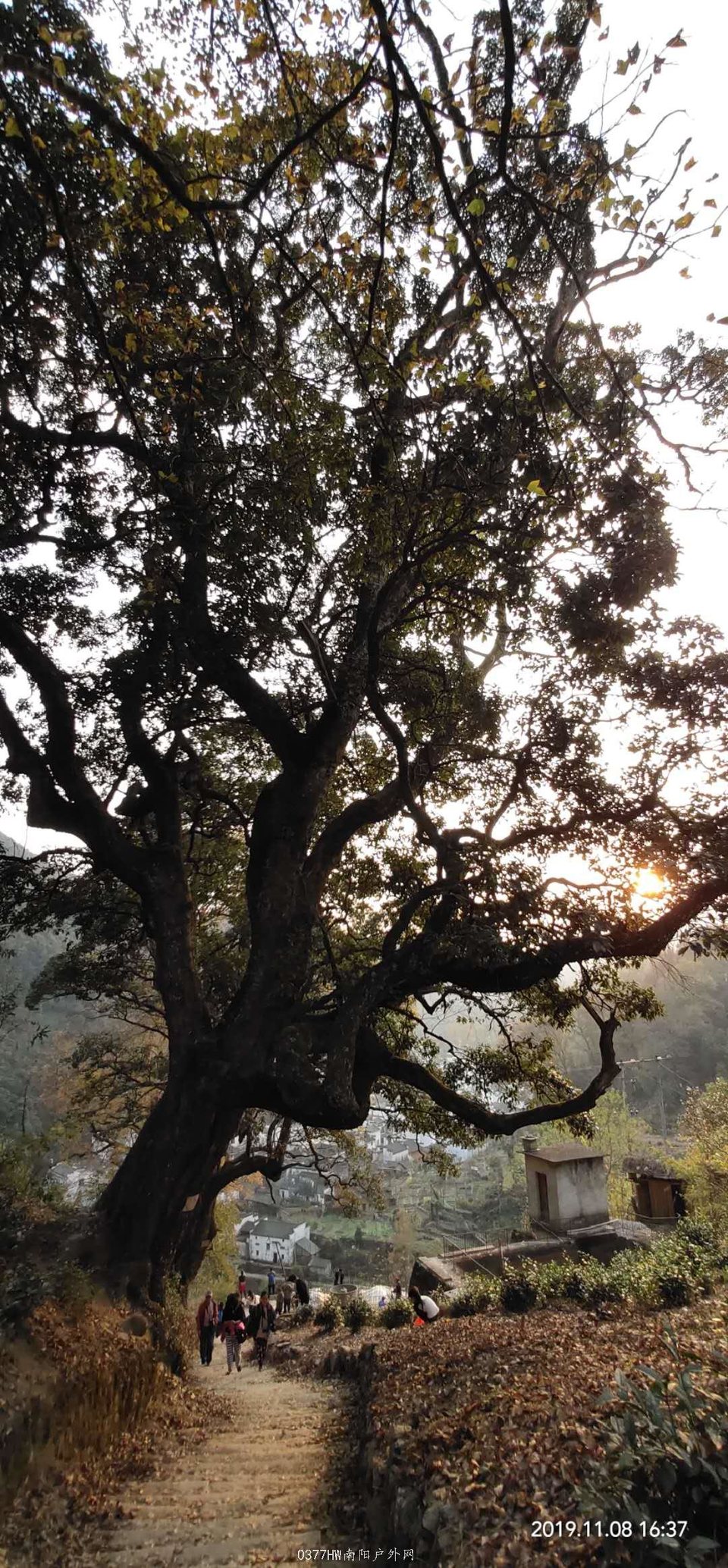 hXHGuMhg3gXrP9WQiuQXkSOaLu6Ij5CmniDXHVKZXjFz8U6IuoAfaqXCSa0saqHH