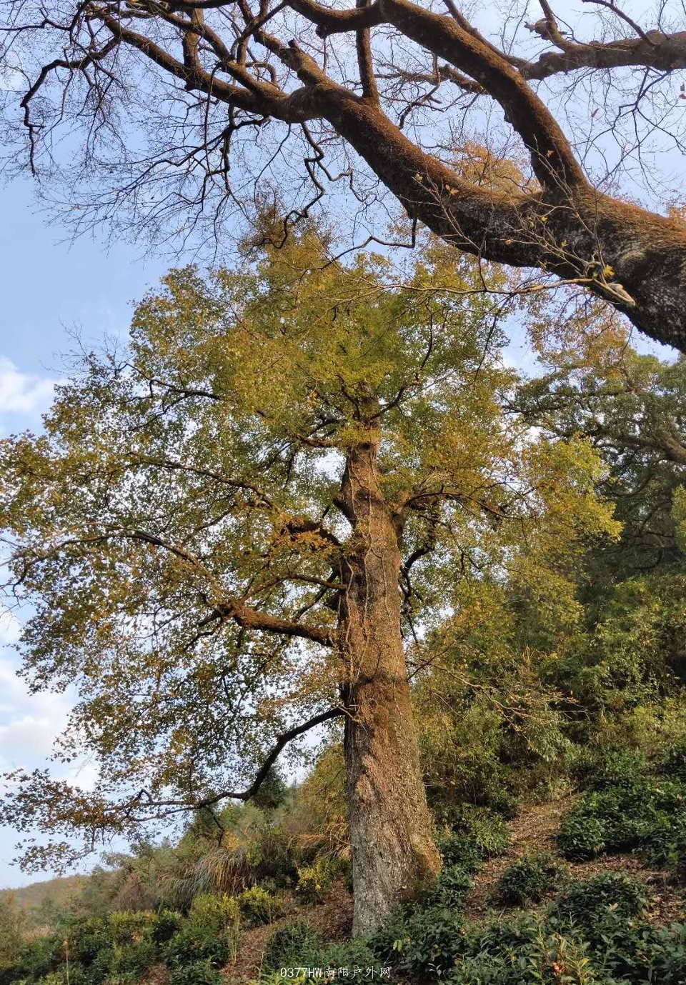 dQeNJS3uf6GY_EeU-BdjsIuycBFHvpz4-BUeUt6d2778u47SfdAuy2Kt4rGCiOda