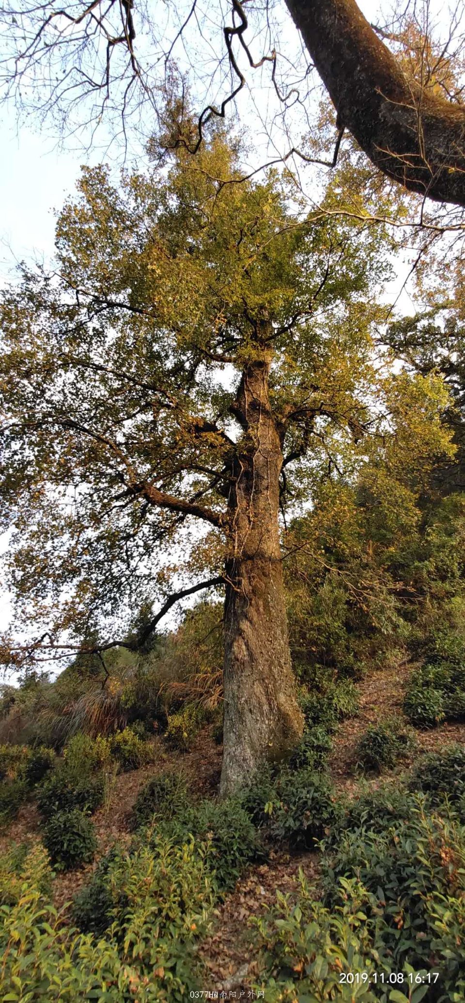 wkPI1KUWKJSx5w5dSo7a4FDFngvmhaHdsD7-ycV79nQDsg1ChC3n060F77AncuHt