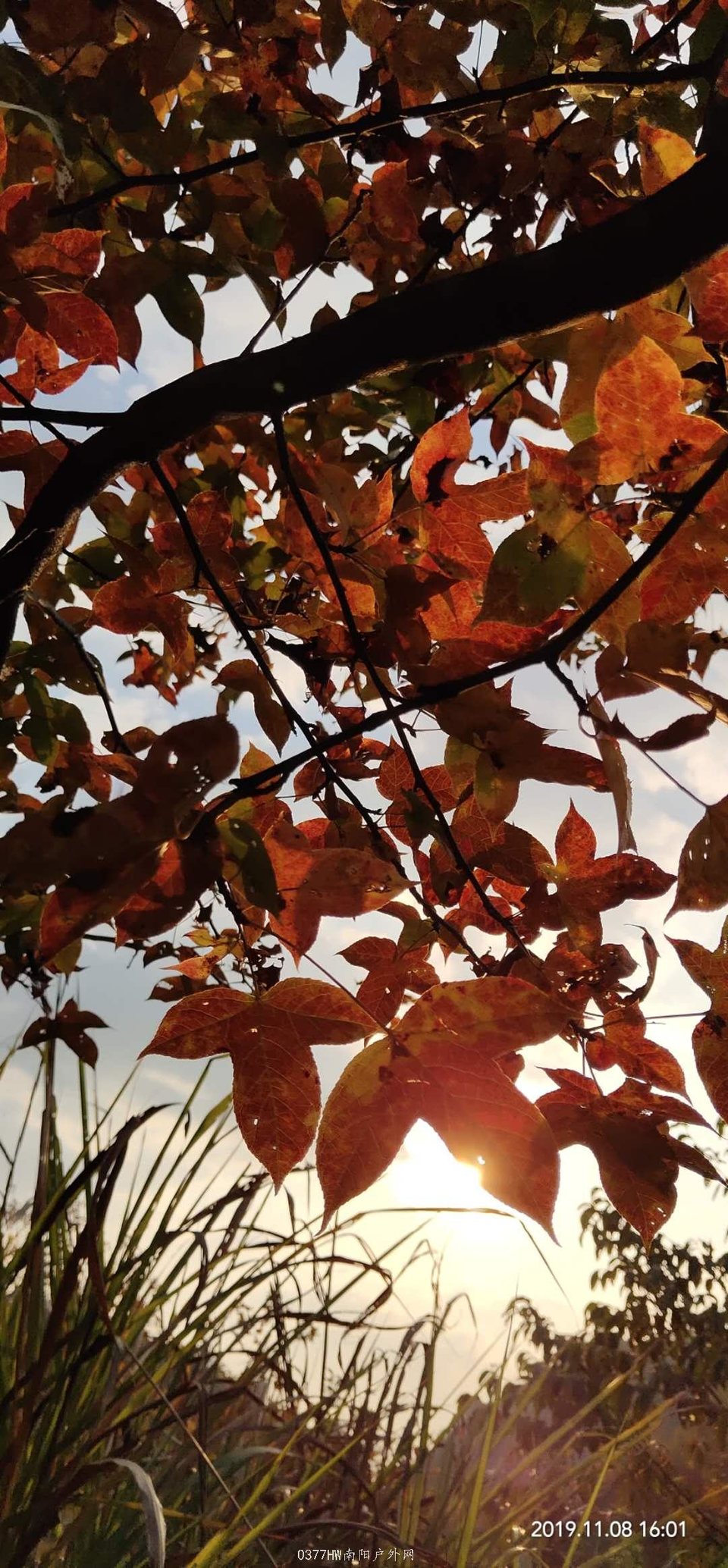 ZyS6vLVDKDaNYlSo0fzkH__8Lln53BinDPaC9lt5lMtTQ1KpD67GtU9XZd1oTAZ-