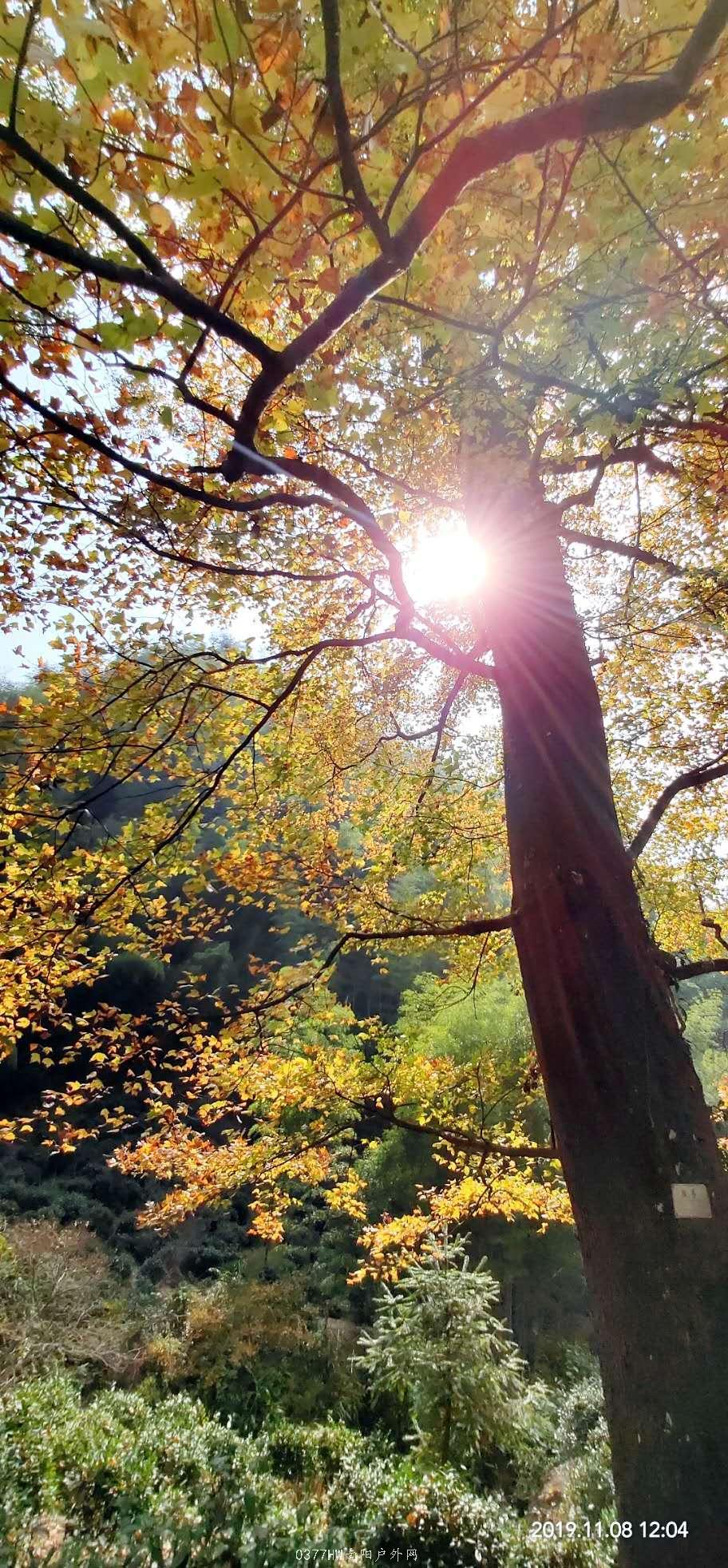 pVR_3xInGCKwZpp-y-0ZcVAdsU7s_bVYCeZ-gqAUYWicKykT29C3-j3PBmBmEhL-