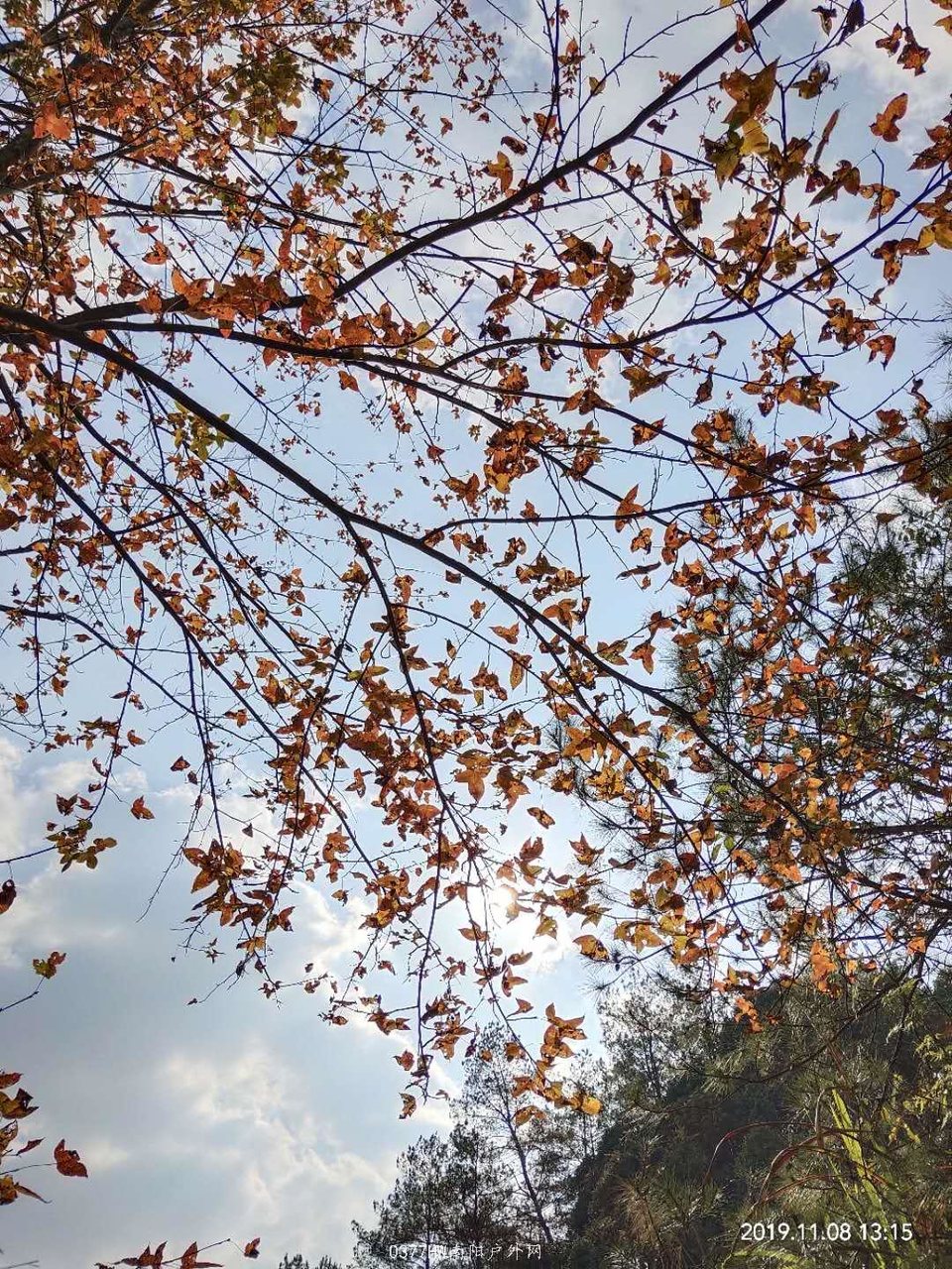 S-td44RVGNxqWUCdOE-Lpuzv_iPZW6j3Qq2oSsriDxRla3on22ZTP3ziOZ-fYh2o