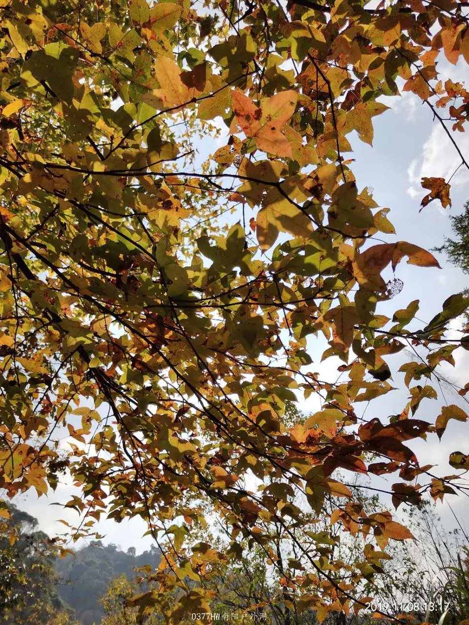 g8xbaKtiJuuaJGH4F-Dca7JHSNp5AwA2l_RTQWnmQWIH2jf64Rj4oKXAi6aXdXwR