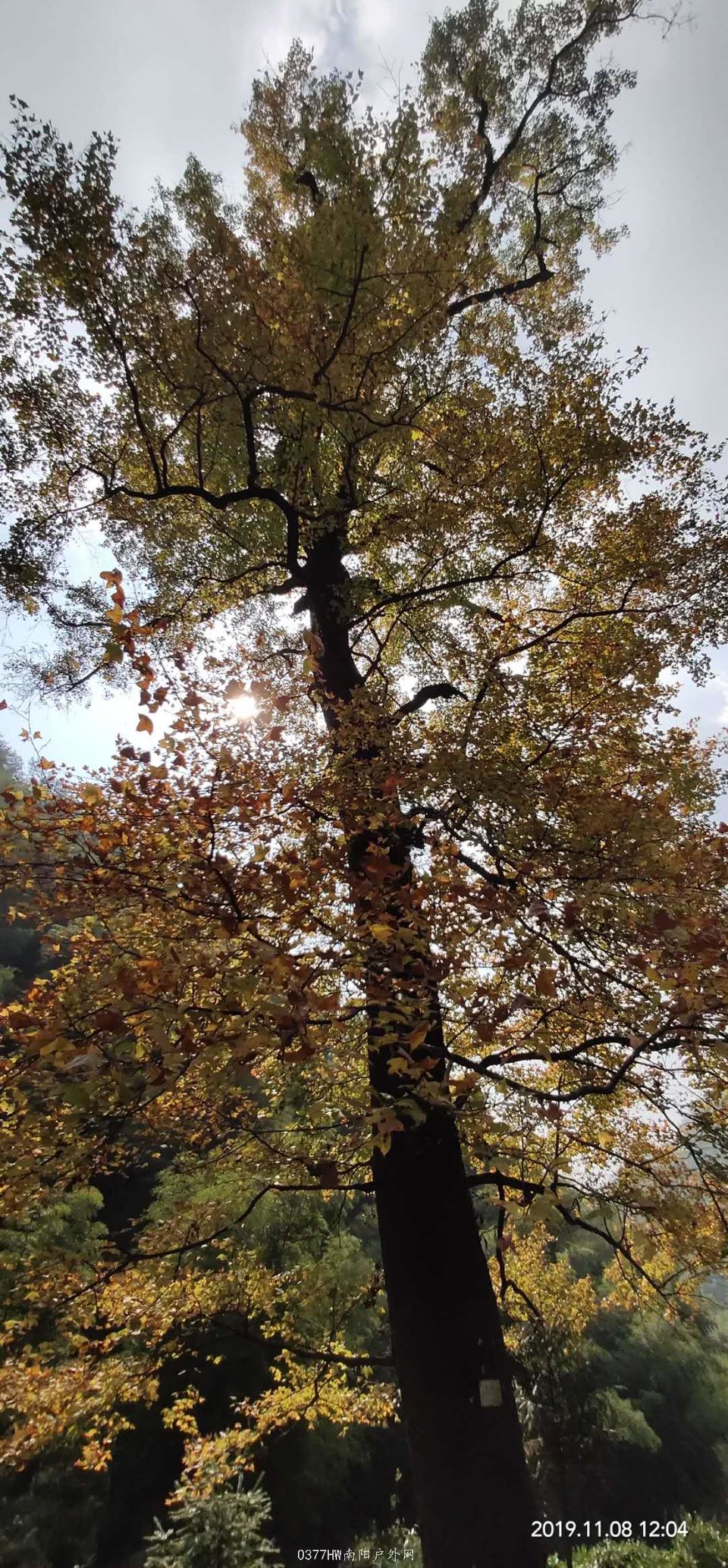 UKjph9CWgmGYaiCIrQyBwjQChCayhNNARqT52iXZo6O81G4wExCG4tWNu1Pp5mwn