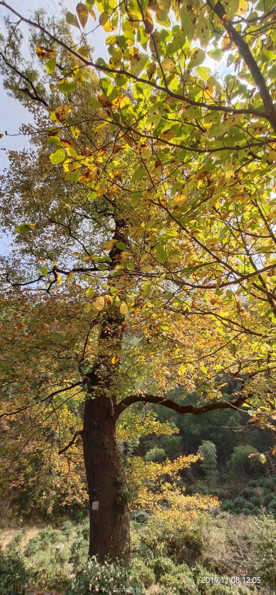 0X78_MUH6l9XqiT9tpkF6ygnnw2TSAzuCxakEvkT9btkO_-NGxfStgpf-vdM37dP