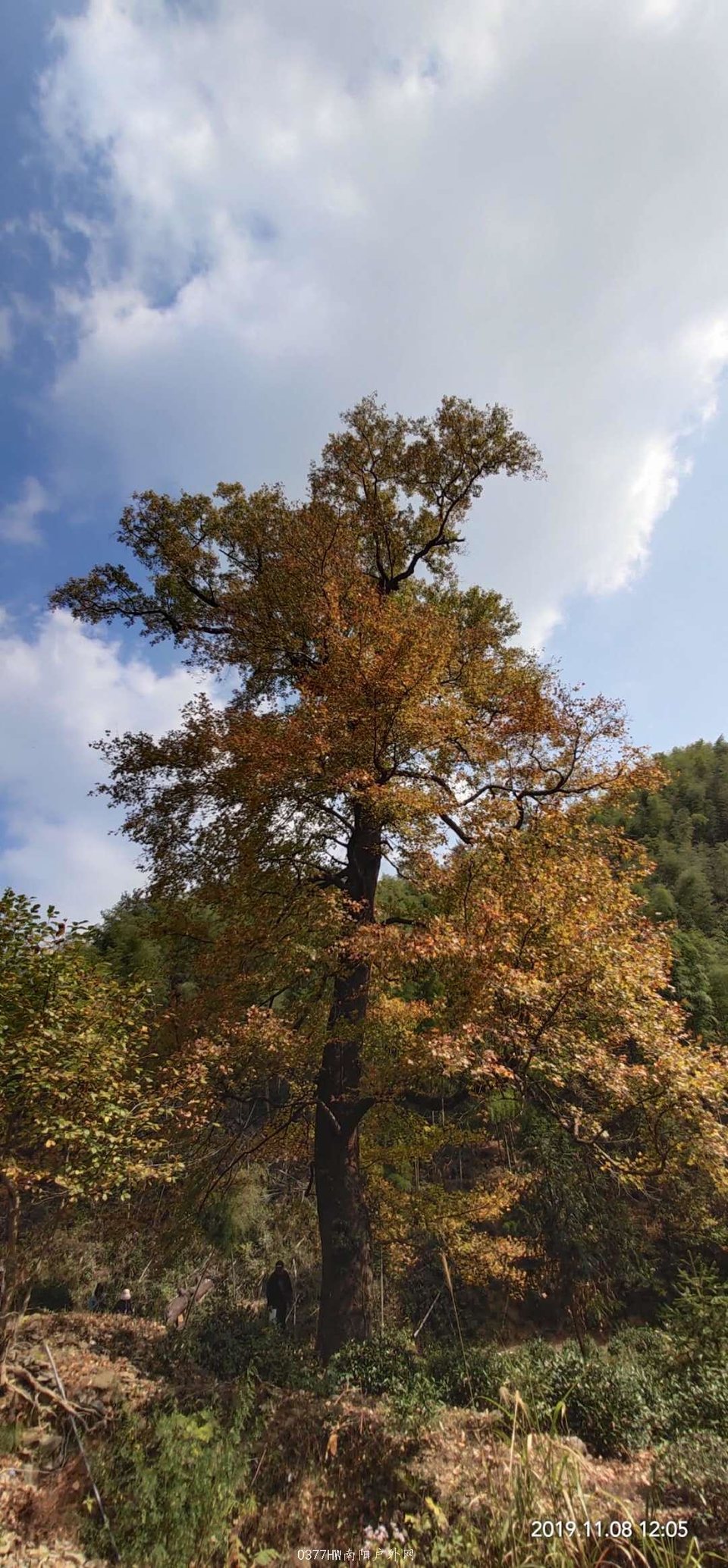 81aiHKKT0-TA6_ifqIzKBH8YS2U4uEG7atKLT_DAvIyF6sbMsUIN9NJwVfDtJFx8