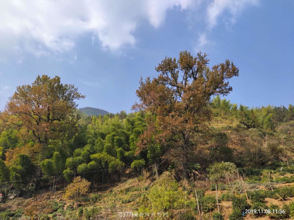 d3ioGBIm-ZPlFdnN_hqJ6BKyfQOwy6u0rfH1VSgJ9ePyRAvXLqllKaDG5cU1r84S