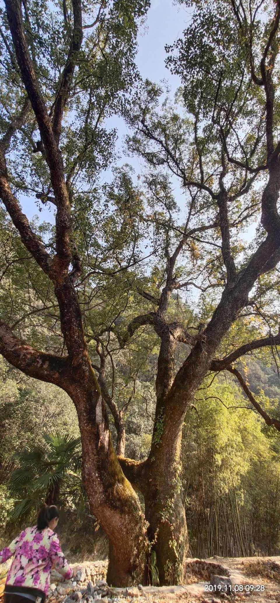 Fi9d8RWTStrssMZJNy90Q_5Qfb0HhfSq39hWeXzTb4joowuHWvCntNsVnulo-Fh6