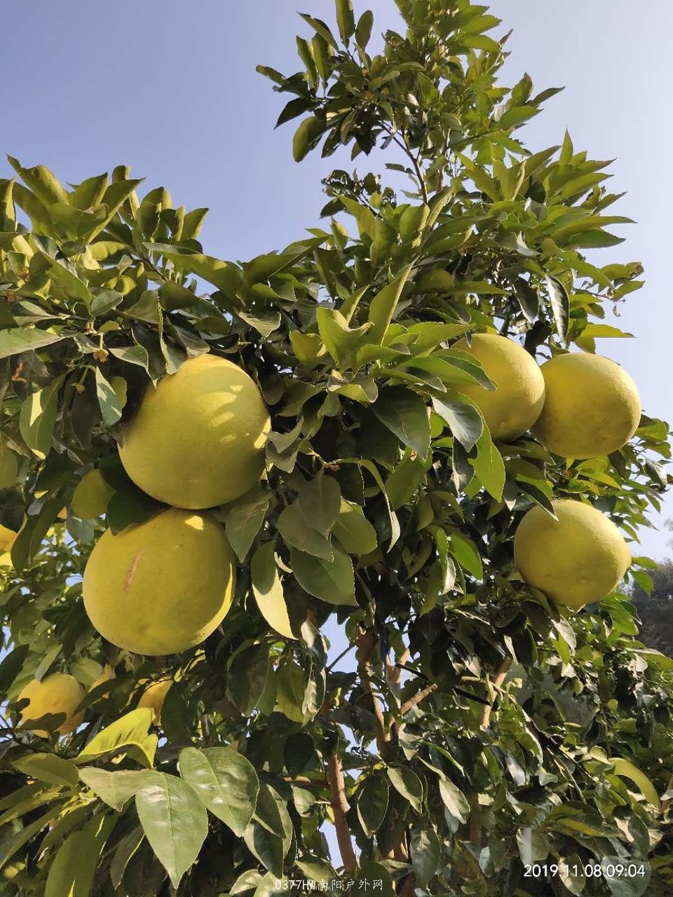 LS32M7LPibqtT-clpOQ09a1mQ0TmvD7YlKa3IvILp5lxsXnjxjRoz_Gg389lKLsu