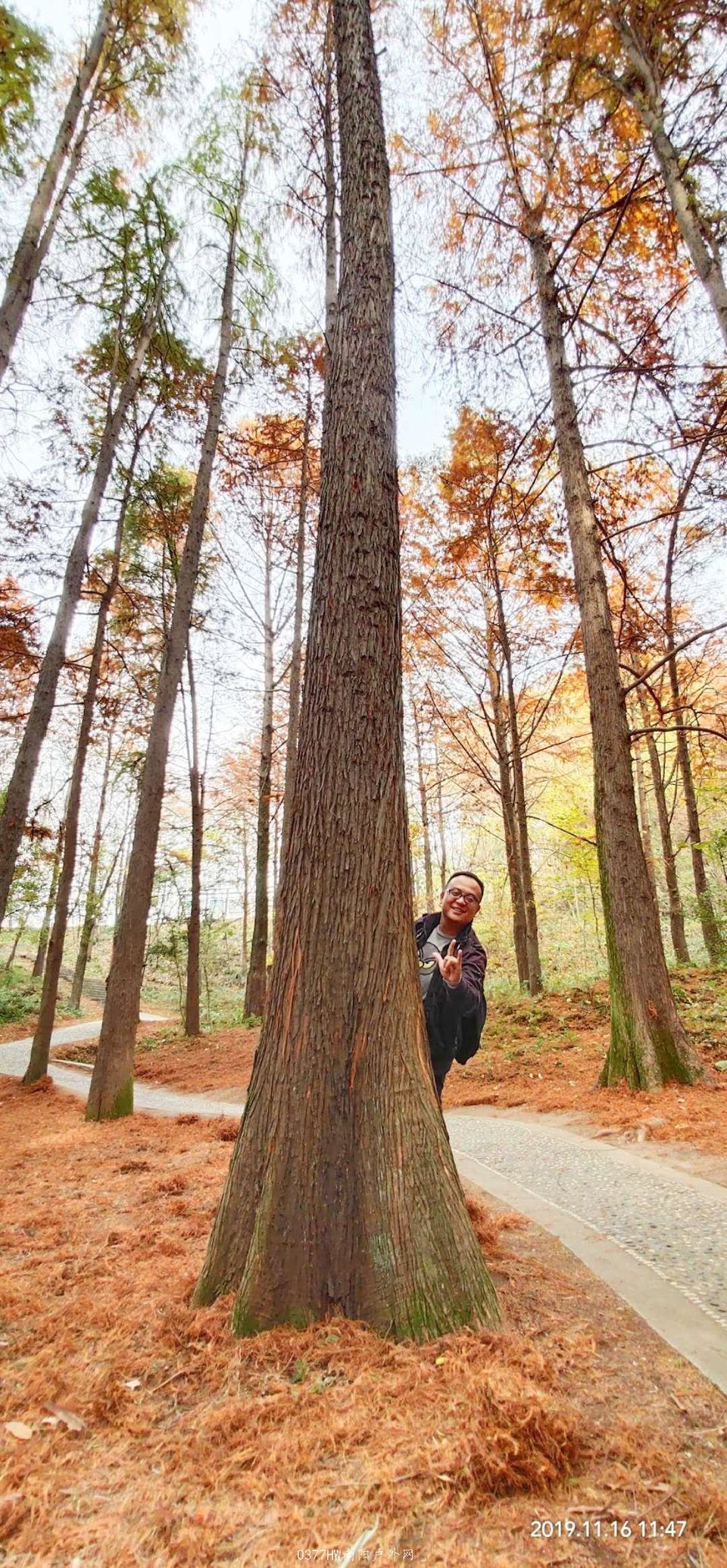 2LV7MOppeEt8R4usoxI9DTPEWn_V5z8dnedkuL_3ZzR5QVA8kHiTHf2koVwTF7iv