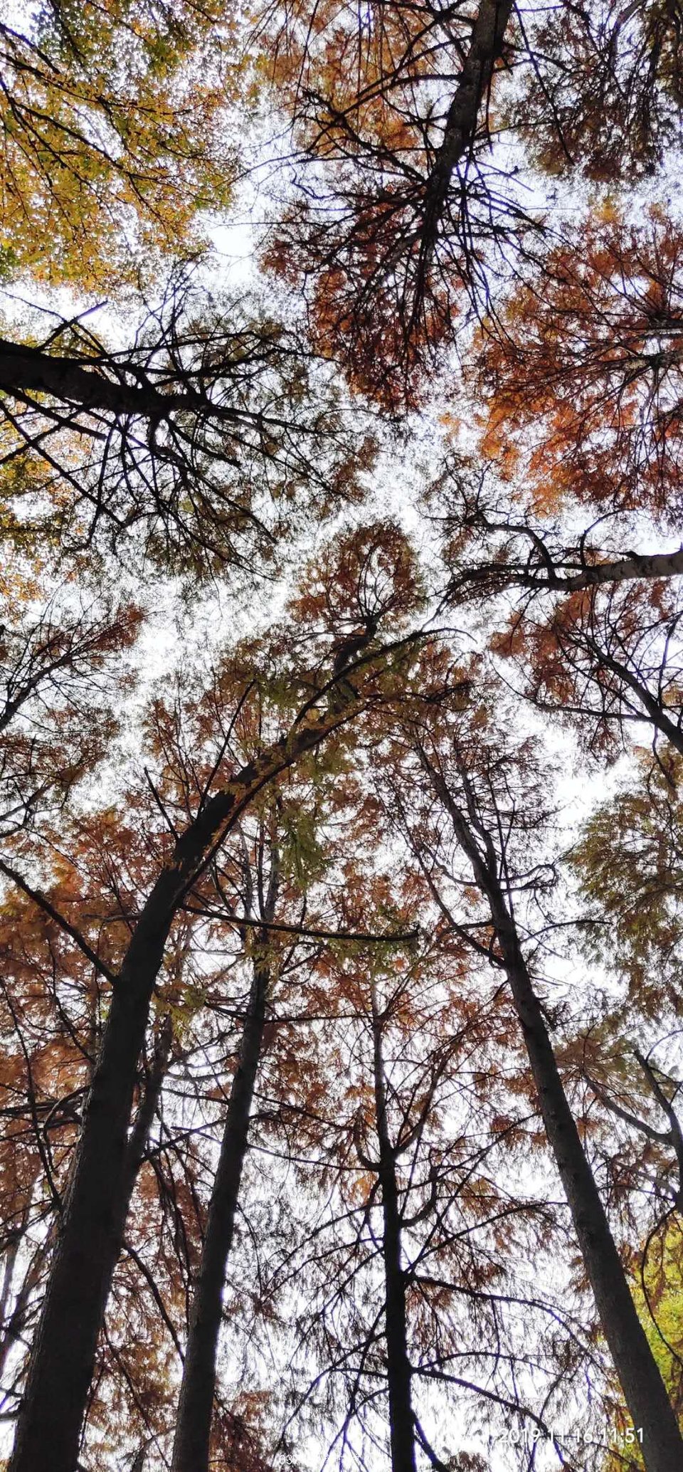 iLLU0SkONWyhuscxUddYX78yXGbzr2ztk4k5FCCGXwruLuDAr51zsstrzYuN8T6F