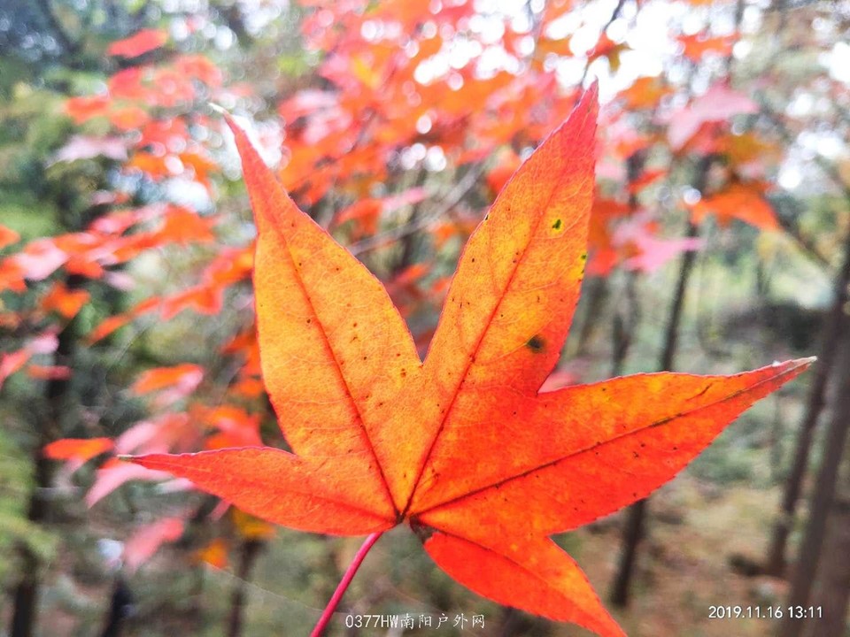 iMGm8yqU9Pm4UpAUkghBcnmJAfxJ3suKBVNz_E4RfIJBBkMIfLq98t5IBQ0lP0fX