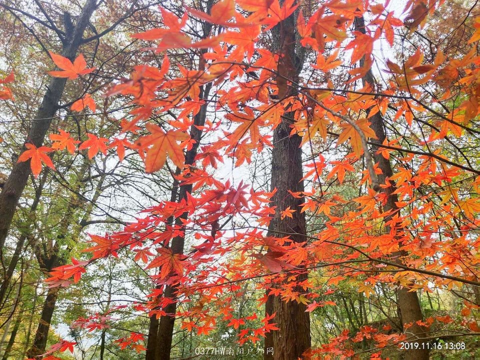 NMVLUhUf3swKRTi3yWQ9OyvFMpUpe0R_HuiFXzdopiG5K0-hJg_nZR4qyiRvLN7v