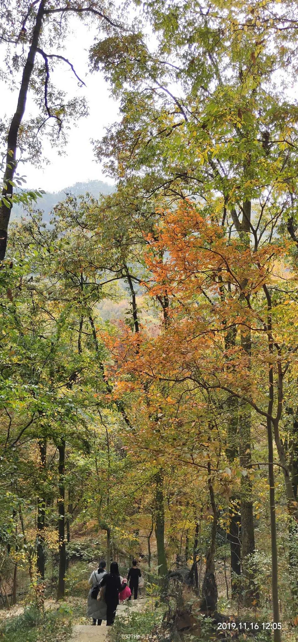 pJ8KAe2BLgR67-DZL8TJTwROHw0vRTxRGfRqetmLkReFVNSjQnCExw9wYf_tZAL5