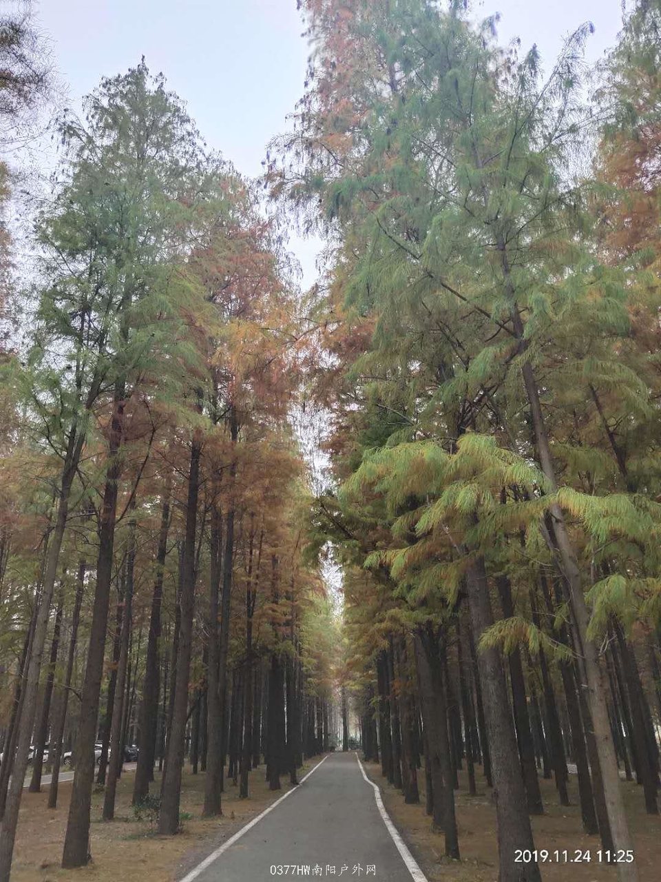 31Qb3lSIIy3xV1RLadkllwr6FjsKfk9YKXRKNn2ewXbZIlsxPSD6HSs3ozPoZMcl