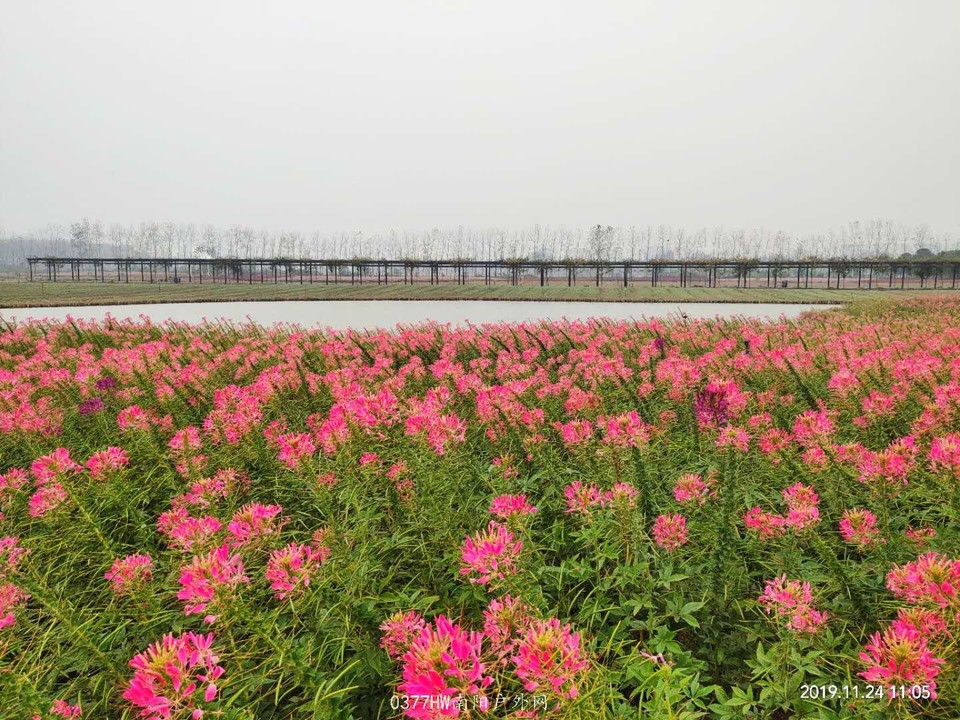 hkdvegZh1Z92an9aUBkE6z38WZ7sNU0IdSLnqYg6GUK8XsxCrZOOaxFb2pU7qCgD