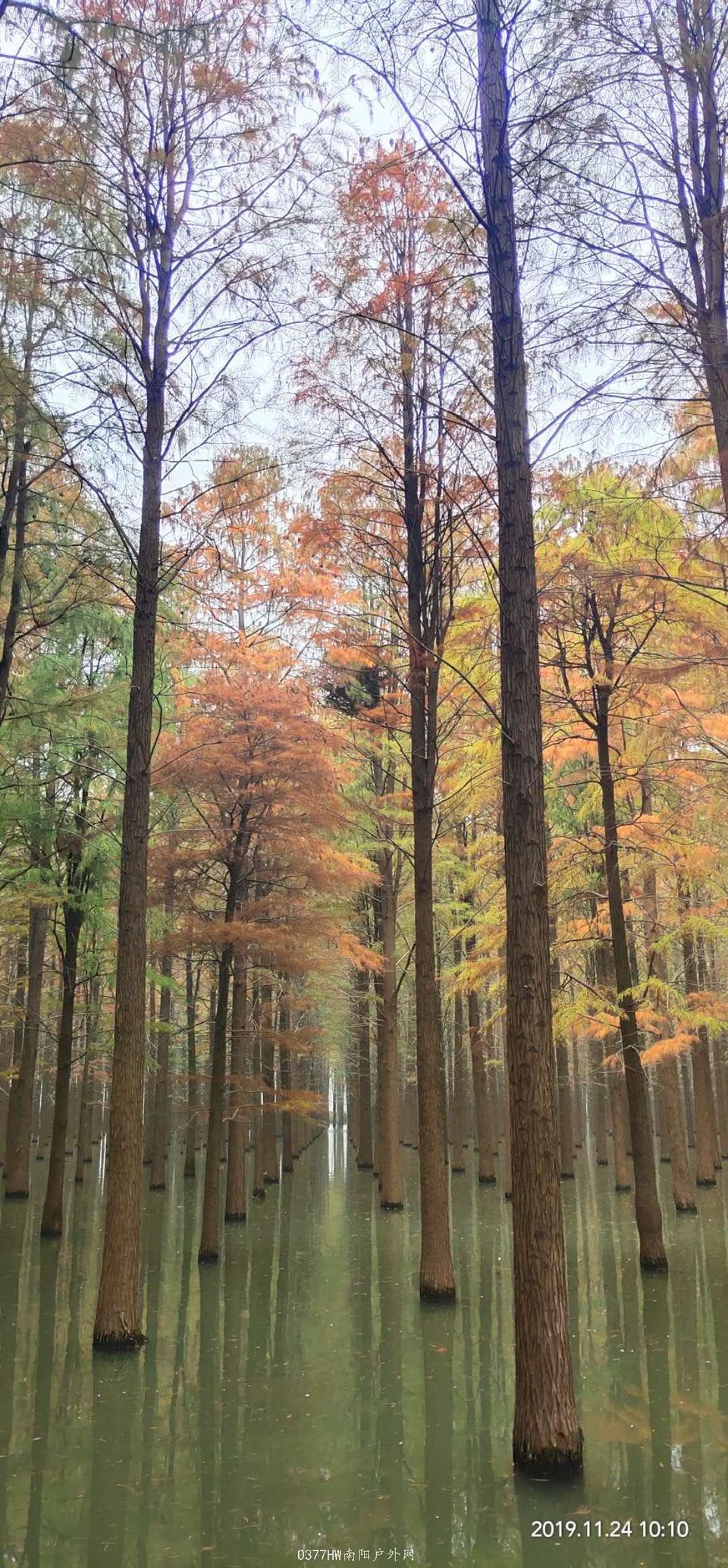 5jDY-y9lKGa_GOuc_pipvK__aQpg-4lsCUEU2BOAs3EJb6iIGUgnKrC55fgABnuq