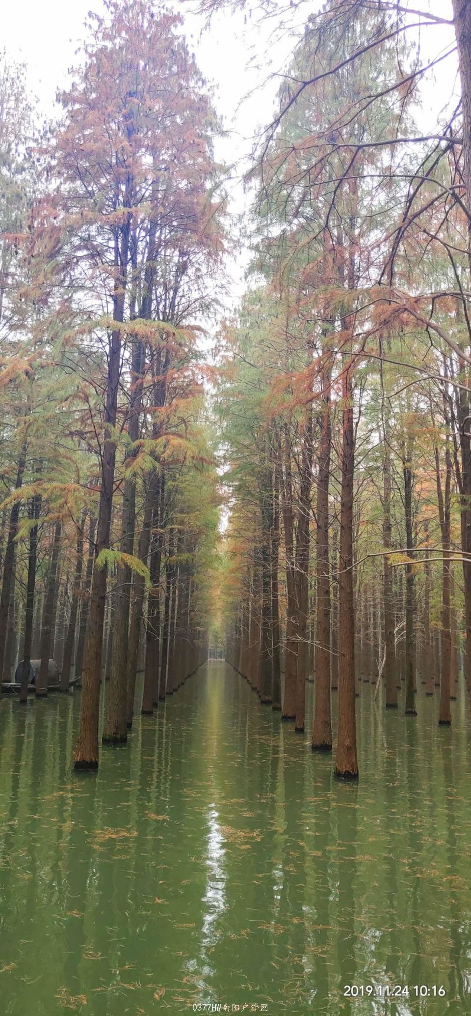 3DMCc3kqGR-nog6_aP1ZGcZ8Gh2Jpj6a8QxRVWrorV7ZjtirDw0KVyDGUmv3-X7A