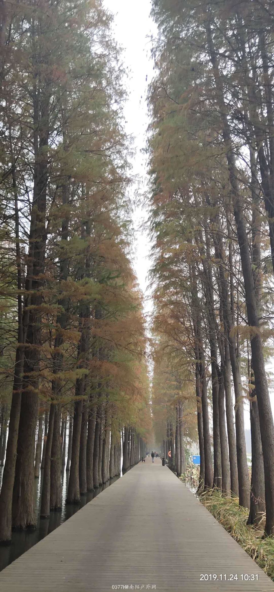 ArH_s495-mJfc2abt58SBNLA-mzTs6y6fbLR7fNFsINd1z15Y9XU76uMVS6x3pkt