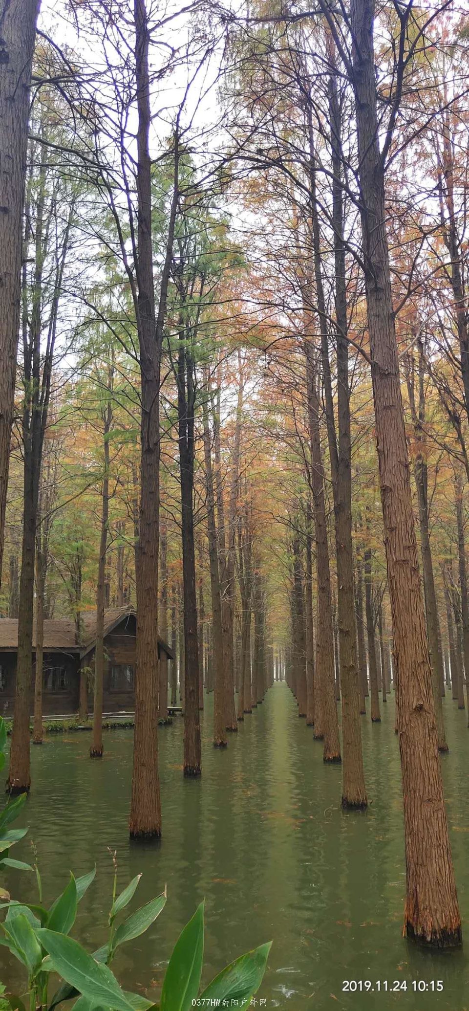 yT25gh8NJ360UKjRJE2-gR6BqJOCrt3z5GHy57_bGeKJIPezvx9gt_XVxusxr8Yq