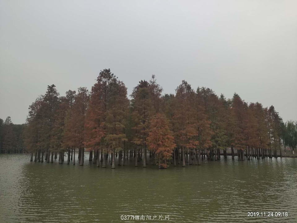 1Sjo-uJqI7WX6CjiGemcsp6wv1gZobWYar6rB8cg377TnqRPVPpq35wOcSHq66ct