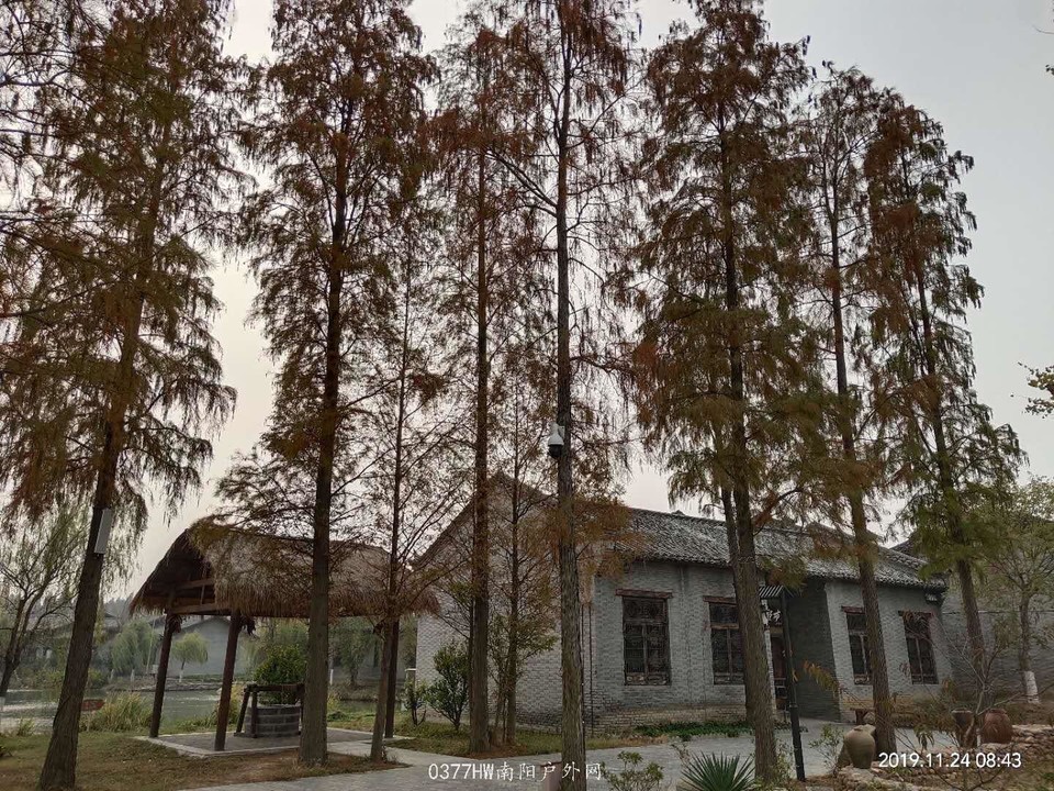 87W0u2s6Ub0Vo2vOUBGW63wMFErherInzlW2ccR7CzXgKkN7ni5wRbrdrKFscfra