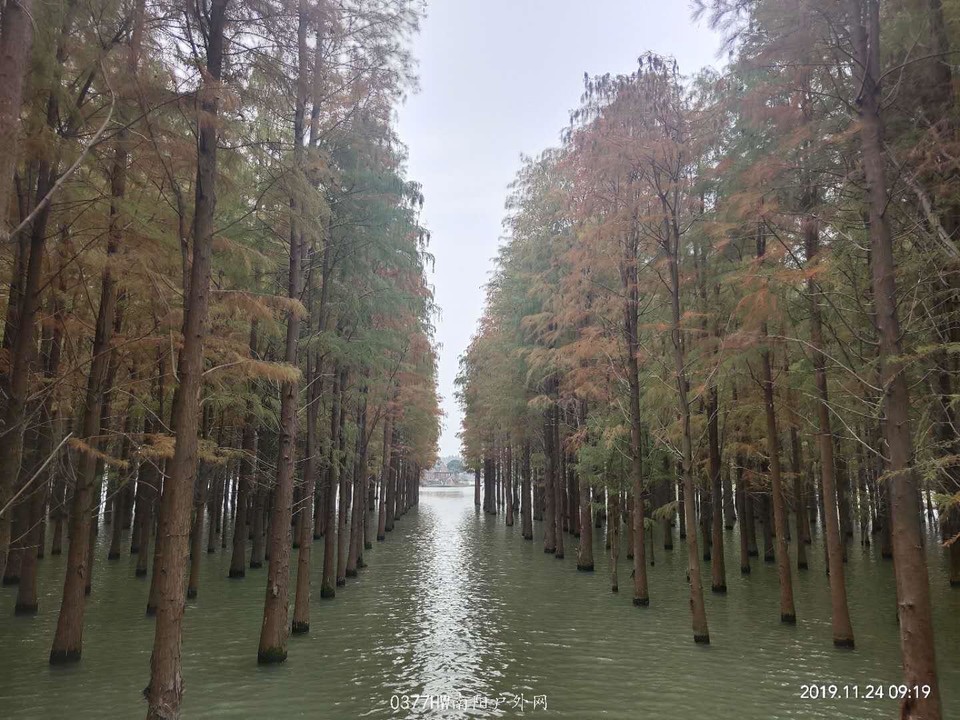 PF04kmX93ju6C3OakTZH_42tHUxYK5d_T3zyuVSwE0_vAYkp17SdcZ0E2HwVi_jh