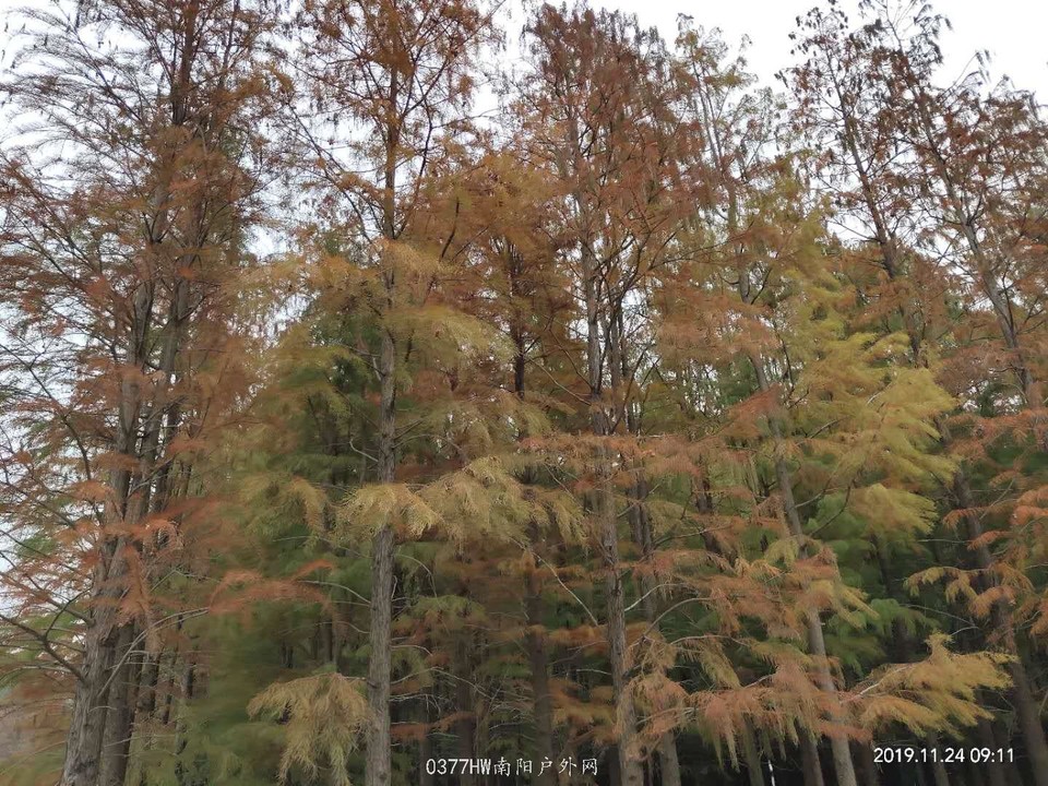 Y5PDYw1fbZPPmUFBYpkNHbGFmpOWpEzh8cQrxt5sgrCwefMx5Y3zg7_Wp7eTI4Ap