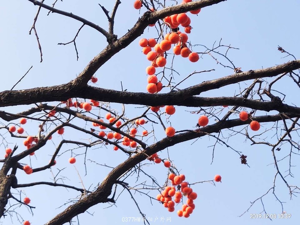 GVnYSlU13RZopYrL5EDAdgf6wfXIFdbWKAY0SrHwLpFHS-3-AhgaMBNOVu4ECoXk